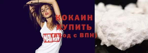 стаф Волоколамск