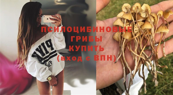 твердый Верея
