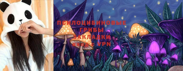 стаф Волоколамск