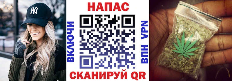 Купить где  Пыталово  Бошки Шишки VHQ 
